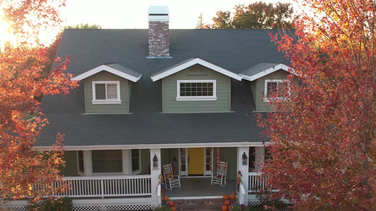 Best Chimney Flashing Repair  in Sloan, IA