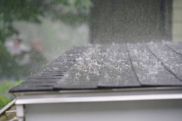 Best Roof Inspection  in Sloan, IA