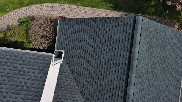 Best Roof Coating and Sealing  in Sloan, IA